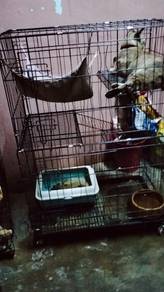 Sangkar Kucing 3 Tingkat