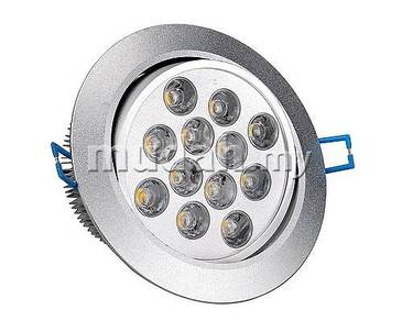 LED Eye Ball Light (12w)