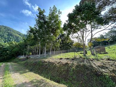 Your Tent our Land,  Relax in Tambunan Nature