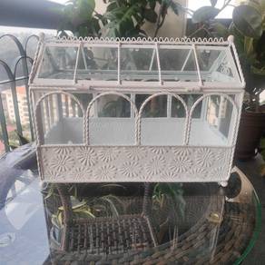 cactus green house