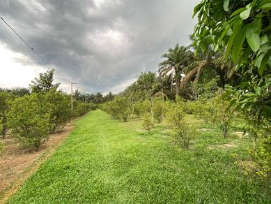 Agricultural Land in Simpang Renggam, JHR