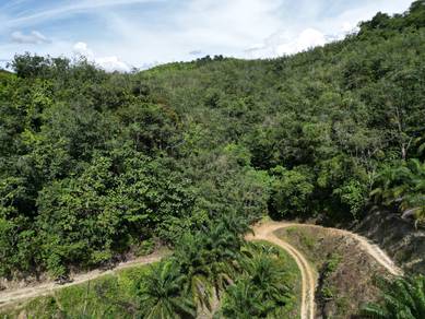 Agricultural Land in Sungai Siput, PRK