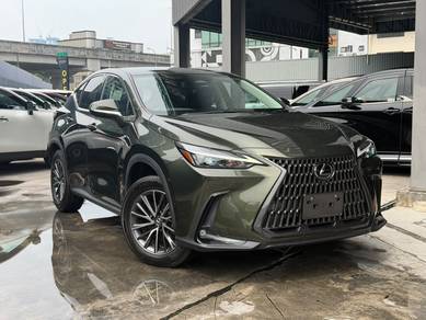 Lexus NX 250 BASE GRADE in Chan Sow Lin, KUL