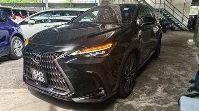 Lexus NX 250 LUXURY in Cheras, KUL