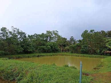 Agricultural Land in Hulu Langat, SGR