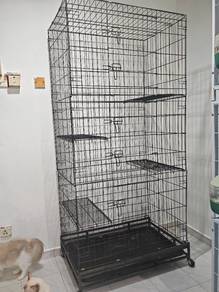 cat sangkar 