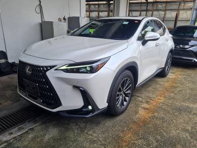 2023 Lexus NX 250 BASE GRADE