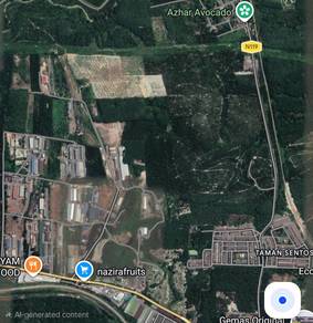 Agricultural Land in Gemas, NSN