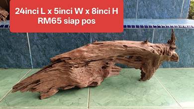 Kayu akuarium yang solid body - Driftwood