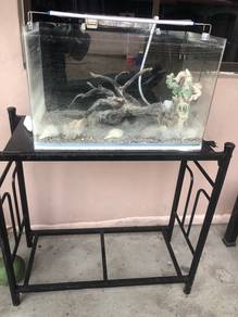Fish Tank / Aquarium
