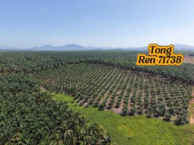 Industrial Land in Sungai Petani, KDH