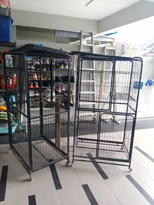 kandang dan sangkar kucing