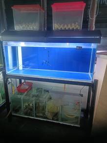 Aquarium Tank Full Set
