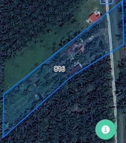 Agricultural Land in Jasin, MLK