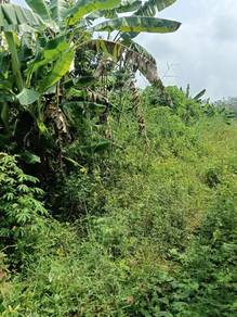 Others Land in Pendang, KDH