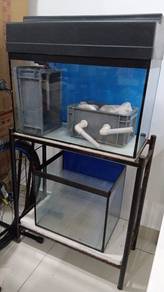 SET Aquarium