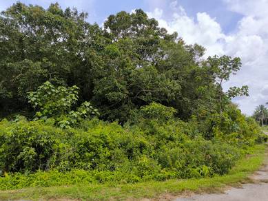 Residential Land in Port Dickson, NSN