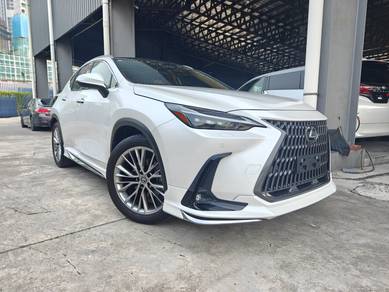 Lexus NX 250 LUXURY in Chan Sow Lin, KUL