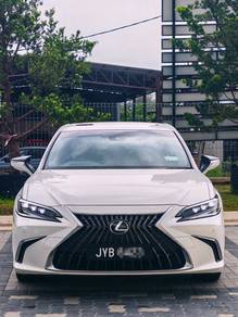 2022 Lexus ES 250 LUXURY