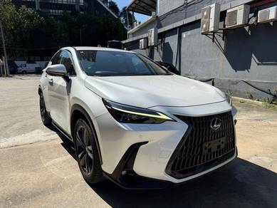 Lexus NX 250 LUXURY in Old Klang Road, KUL