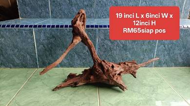 Driftwood  kayu hiasan aquarium dan aquascape