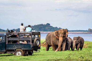8D7N Sri Lanka Private Tour Package