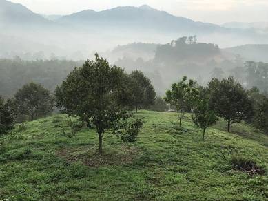 Agricultural Land in Kerling, SGR