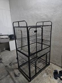 sangkar kucing