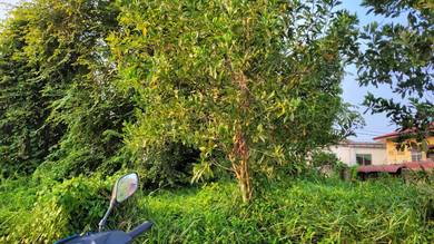 Residential Land in Kemaman, TRG