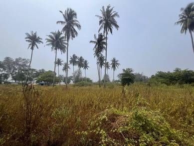 Agricultural Land in Kota Tinggi, JHR