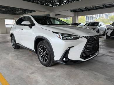 2022 Lexus NX 250 LUXURY