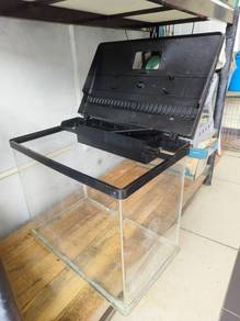 Fish Aquarium