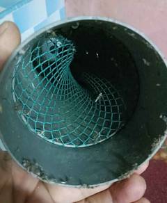 tukir belut