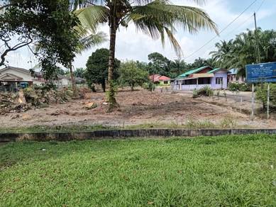 Agricultural Land in Batu Pahat, JHR