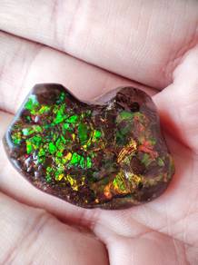 Natural Freeform Ammonite – Prosperity Stone 🌈
