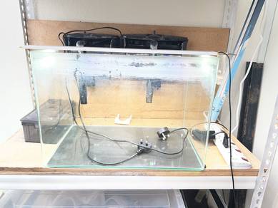 Used Aquarium