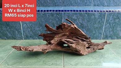 kayu hiasan berlubang aquascape and shrimp tank