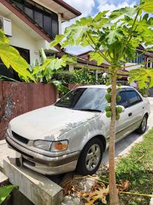 Toyota Corolla in Kuching, SWK