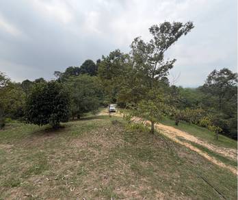 Agricultural Land in Serendah, SGR