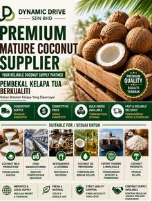 kelapa tua terbaik