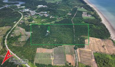 Agricultural Land in Kuching, SWK