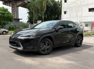 2021 Lexus UX 200 200 F-SPORT