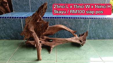 aquascape driftwood setup 3 kayu