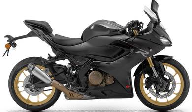 QJ Motor SRK250