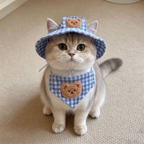 Pet Hat