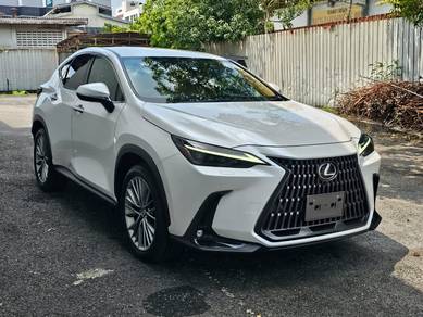 2022 Lexus NX 250 LUXURY