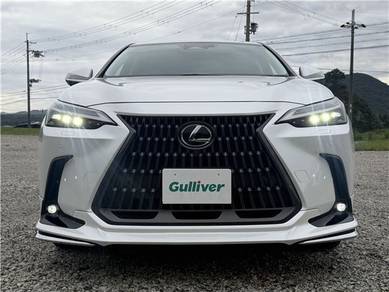 Lexus NX 250 BASE GRADE in Ipoh, PRK