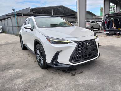 Lexus NX 250 LUXURY in Cheras, KUL