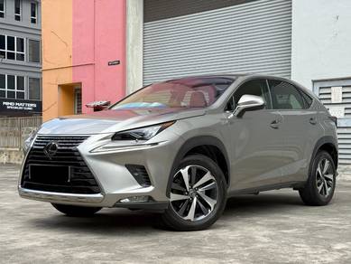 Lexus NX 300 URBAN in Petaling Jaya, SGR
