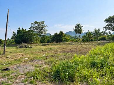 Agricultural Land in Others, PLS